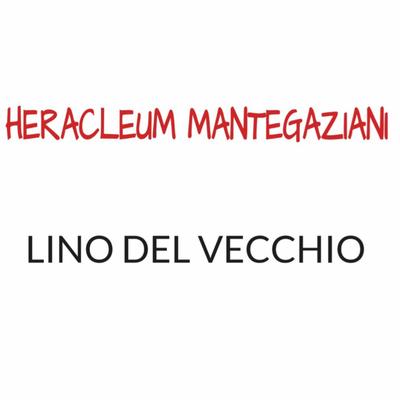 HERACLEUM MANTEGAZIANI's cover