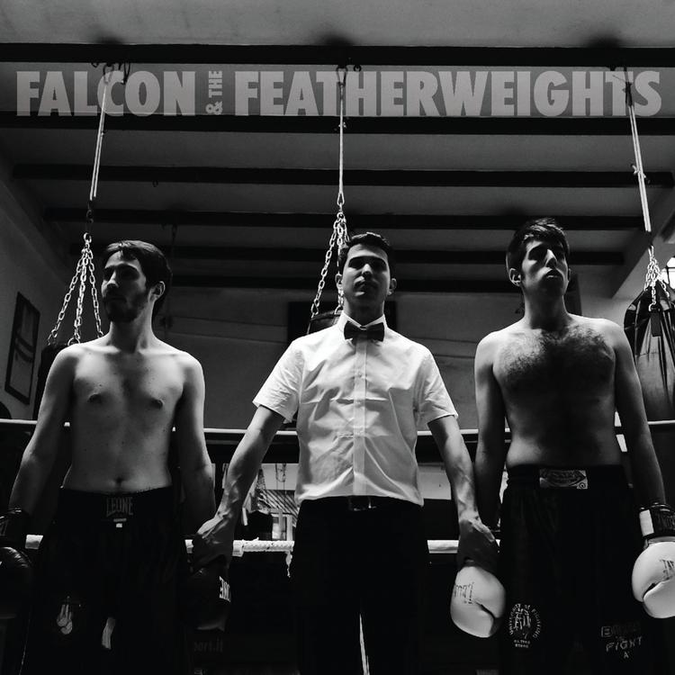 Falcon and the Featherweights's avatar image