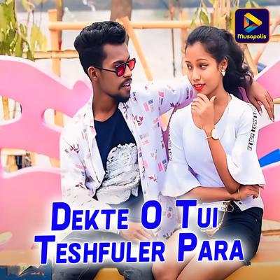 Dekte O Tui Teshfuler Para's cover