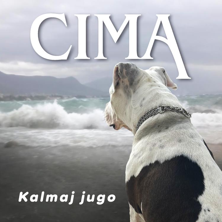 Cima's avatar image