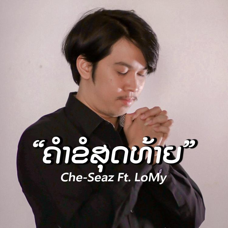 Che-Seaz's avatar image