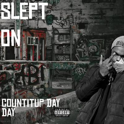 Countitup Day Day's cover
