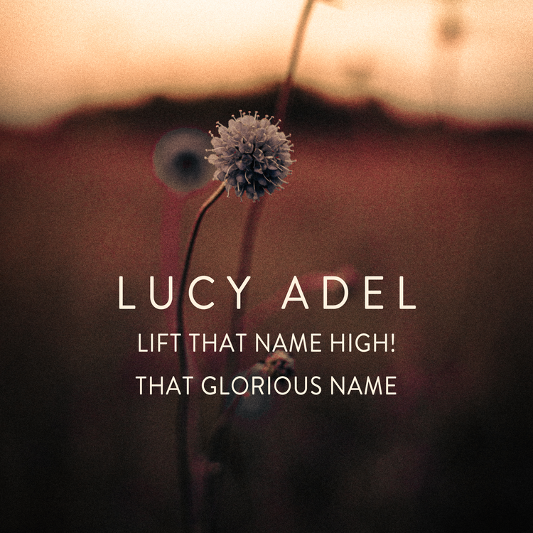 Lucy Adel's avatar image