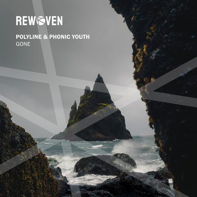 Gone By Polyline, Phonic Youth's cover