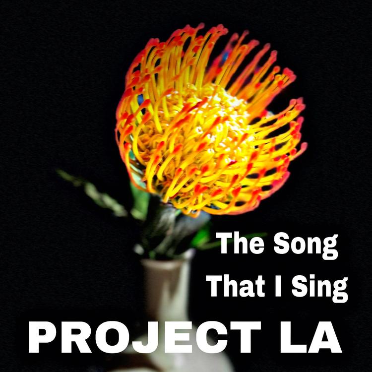 Project La's avatar image