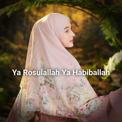 Ya Rosulallah Ya Habiballah's cover