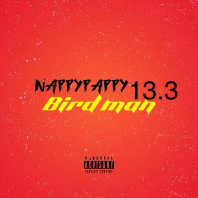 Nappy Pappy13.3's cover