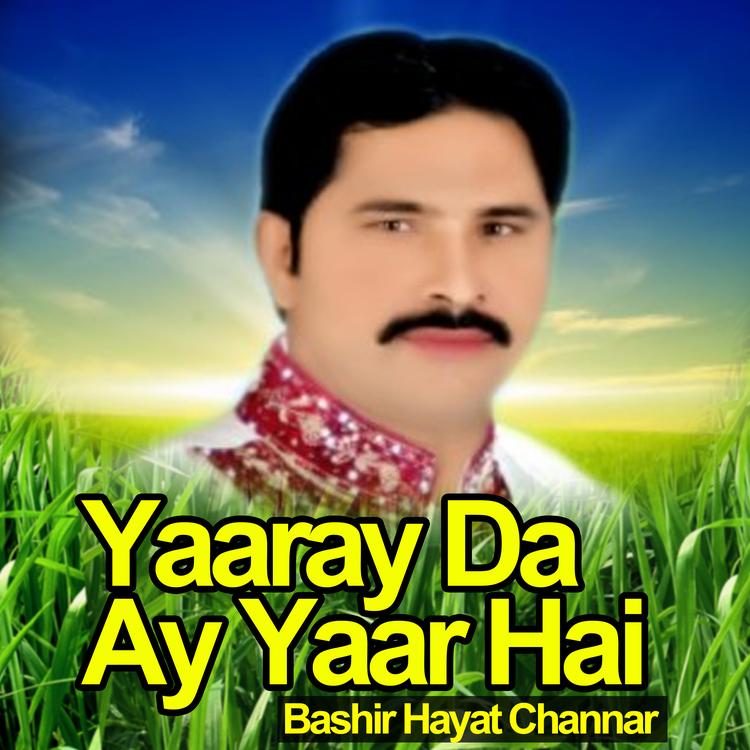 Bashir Hayat Channar's avatar image