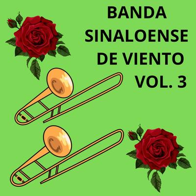 Banda Borrego's cover
