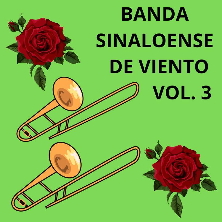 Banda Borrego's avatar image