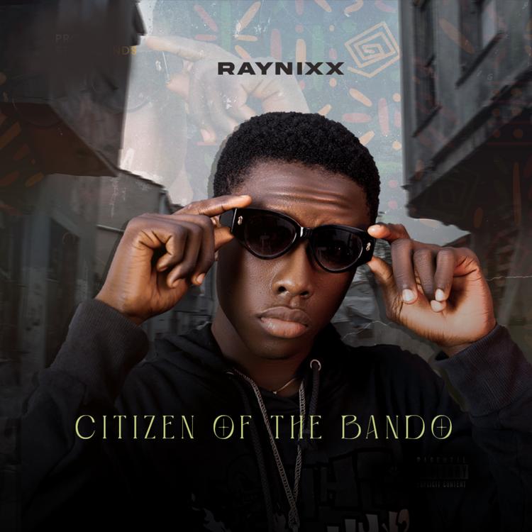 Raynix's avatar image