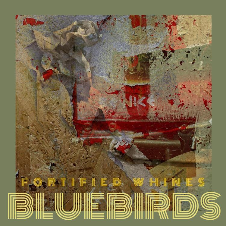 Bluebirds's avatar image