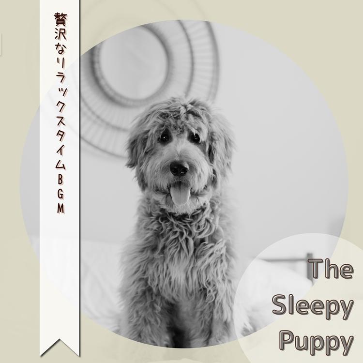 The Sleepy Puppy's avatar image