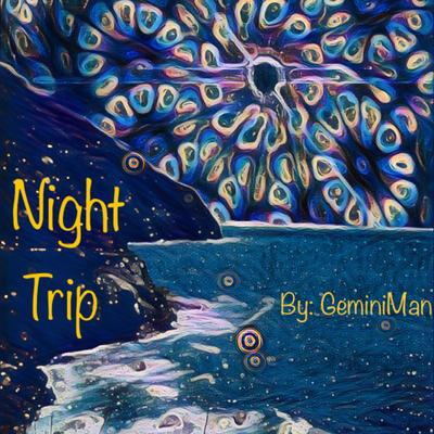 Night Trip By GeminiMan's cover