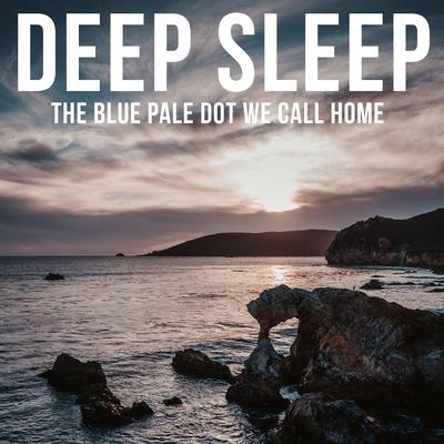 The Blue Pale Dot We Call Home's cover
