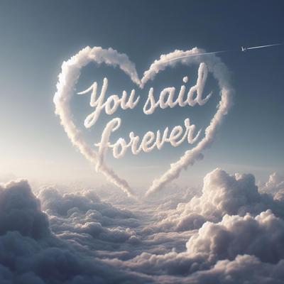 You Said Forever's cover