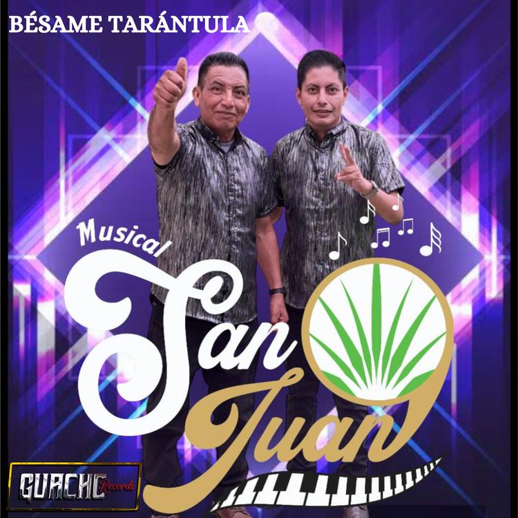 Musical San Juan's avatar image