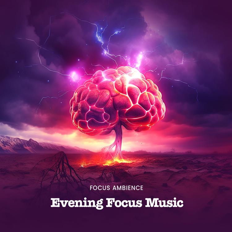 Focus Ambience's avatar image