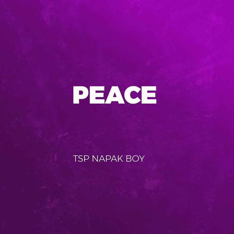 TSP Napak Boy's avatar image