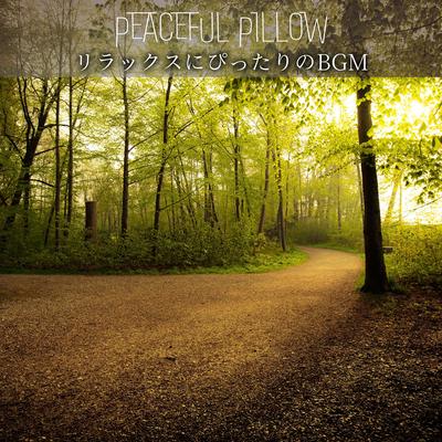 Peaceful Pillow's cover