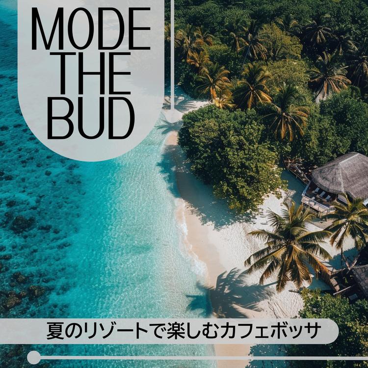 Mode The Bud's avatar image