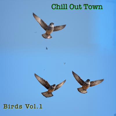 Chill Out Town's cover