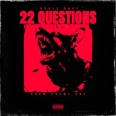22 Questions's cover