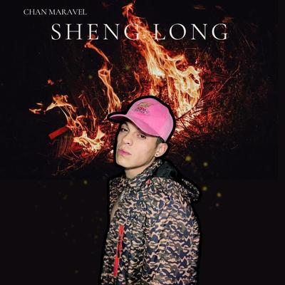 Sheng Long (Remastered 2024)'s cover
