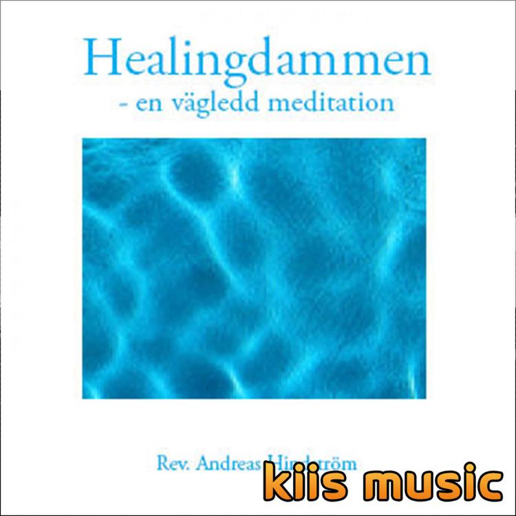 Healingdammen's avatar image