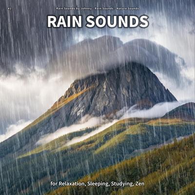 Ambient Rain Sounds for Sleep's cover