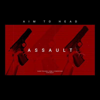 Assault By Aim To Head's cover