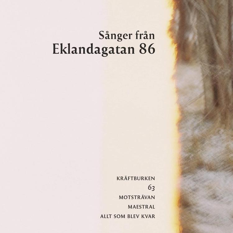 Sånger från Eklandagatan 86's avatar image