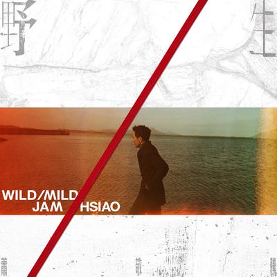 WILD/MILD By Jam Hsiao's cover