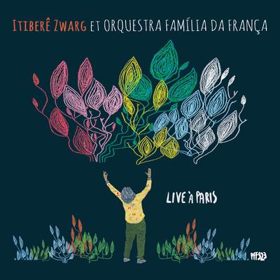Brilho do sol a Juan Les Pins (Live) By Itiberê Zwarg, Orchestra Familia Da França's cover