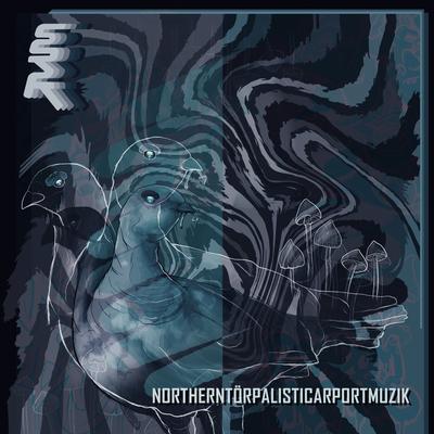 Northerntörpalisticarportmuzik's cover