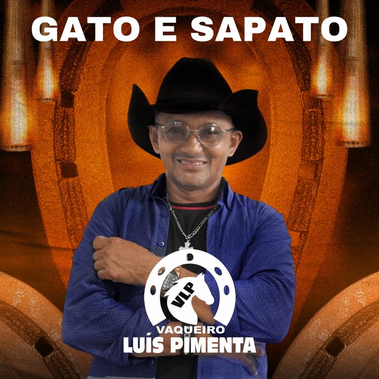 Vaqueiro Luis Pimenta's avatar image