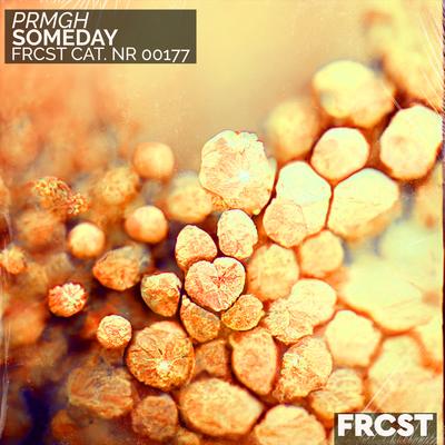 Someday By PRMGH's cover