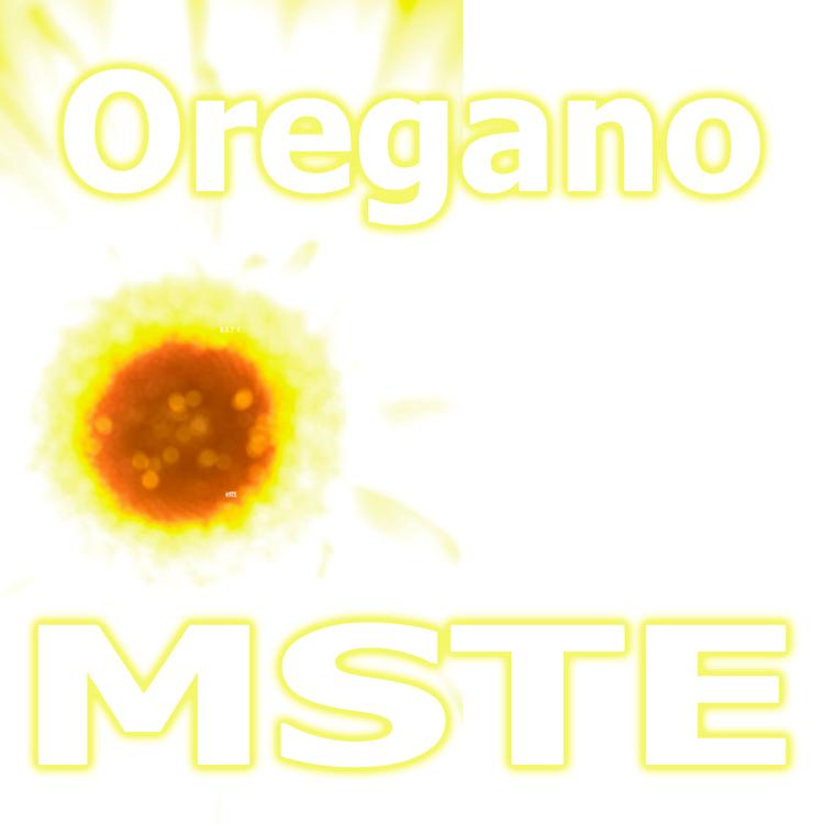 MSTE's avatar image