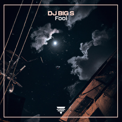 Fool By DJ BIG S's cover