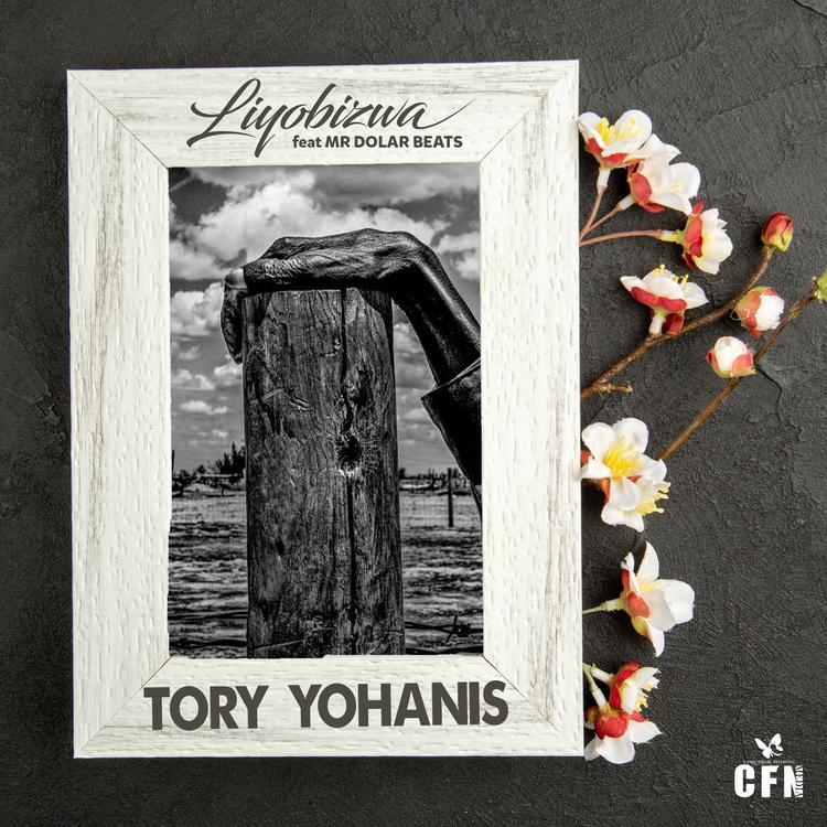 Tory Yohanis's avatar image