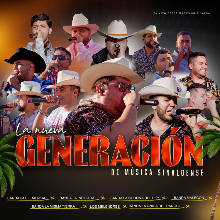 Banda Elemental de Mazatlán Sinaloa's avatar image