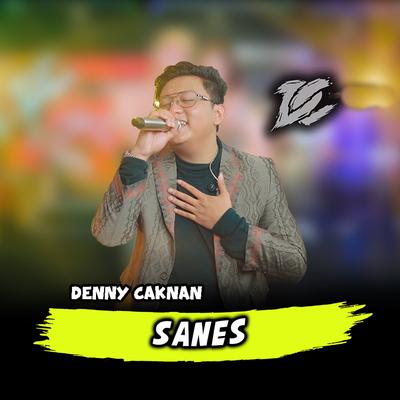 Sanes's cover