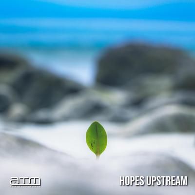 Hopes Upstream By Kady Mayers's cover