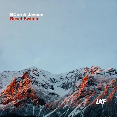Reset Switch's cover