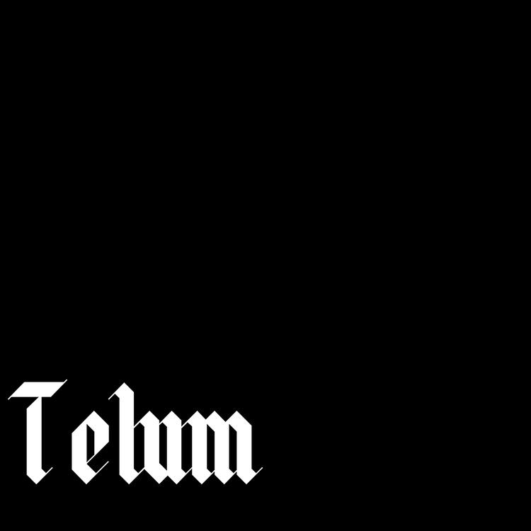 TENUM's avatar image