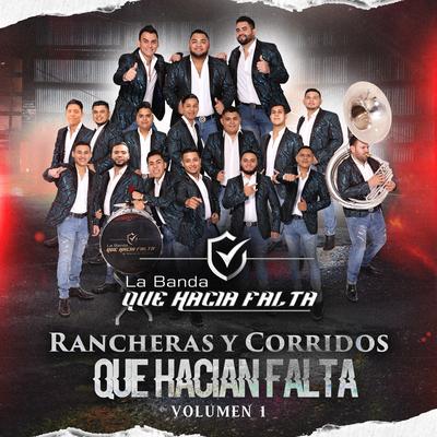 Rancheras y Corridos Que Hacian Falta, Vol.1's cover