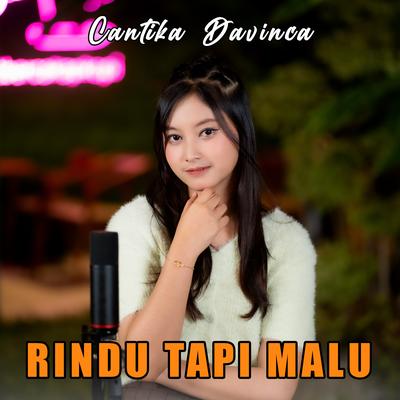 Rindu Tapi Malu By Cantika Davinca's cover