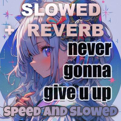 never gonna give u up (Slowed + Reverb)'s cover