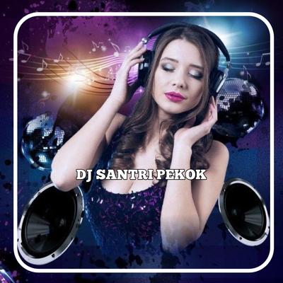 DJ SANTRI PEKOK X MELODY SYAHDU FULL BASS's cover