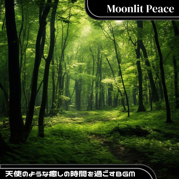 Moonlit Peace's avatar image